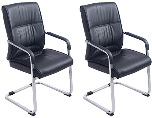 2er Set Freischwinger XXL Anubis