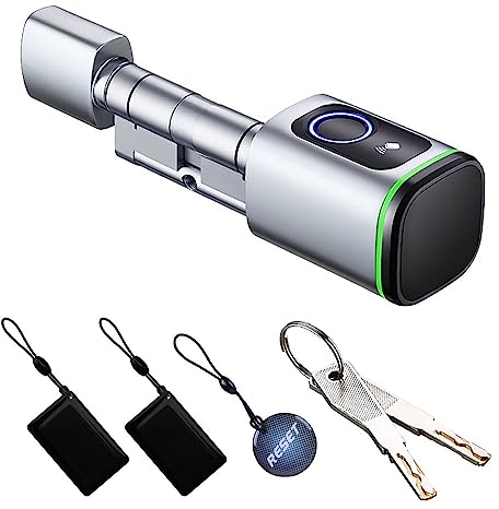 YoumiAi Smart Türschloss,elektronischer Schlosskern,Euro Zylinder,Fingerabdruck/App/IC/Schlüsselentriegelung,unterstützt Timer/App Fernbedienung über Tuya BLE Hub(silbrig,30/30mm)