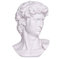 danila-souvenirs Busto Estatua Escultura de mármol de David de Miguel Ángel Cabeza Griega Romana clásica 15 cm, 770 g