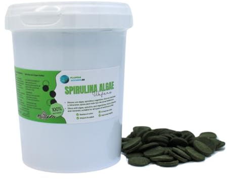 Spirulina Algae Wafers 500 ml, Discos de spirulina, alimento Vegetal para Peces de Fondo a Base de Algas y spirulina, Comida Natural y equilibrada para Peces e invertebrados herbívoros.