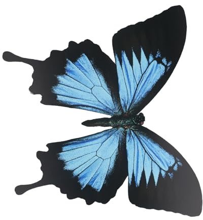 Grands stickers muraux 3D en forme de papillon pour décoration de jardin et maison, en PVC résistant aux intempéries, convient pour différentes surfaces
