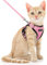 Dooradar Katzengeschirr mit Leine Ausbruchsicher, Katzenleine mit Geschirr für Katzen Mittelgroße, Reflektierend, Katzengeschirr Große Katze, S, Rosa