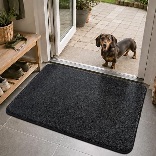 COSY HOMEER Tappeto Ingresso Interno, 60 x 90cm Zerbino Ingresso Esterno Antiscivolo TPR, Lavabile in Lavatrice per Porta D'Ingresso, Corridoio, Cucina, Scala, Nero