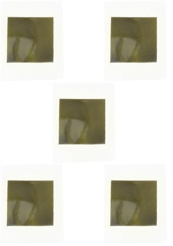 GLEAVI 5stücke Praktische Magnetische Sichtfolie Für Magnetpol-tests Für Schulische Experimente Entdeckung Von Magnetfeldern Der Physik