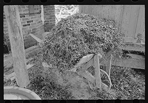 HistoricalFindings Photo: Turpentine Still,State Line,Mississippi,MS,FSA,Farm Security Administration,7