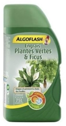 ENGRAIS PLANTES VERTES & FICUS 250ML - ALGOFLASH