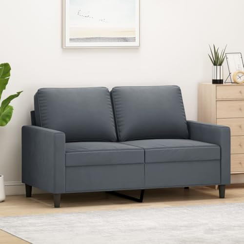 Emmtore Sofa 2-Sitzer, Loungesofa Couch mit Armlehnen Rückenkissen, Wohnzimmersofa Designsofa mit Metallgestell, Sitzmöbel Zweisitzer Samt,Dunkelgrau,120 cm