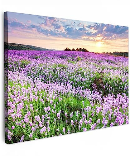 MuchoWow© Quadro su Tela 70x50 cm Stampe da Parete Quadri Cucina Camera da Letto Dipinto Arredamento Casa Fiori - Lavanda - Viola - Cielo - Tramonto - Prato - Natura