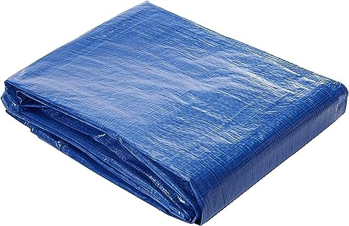 Toldo Reforzado Lona Impermeable Exterior (Azul, 6 x 10 m)