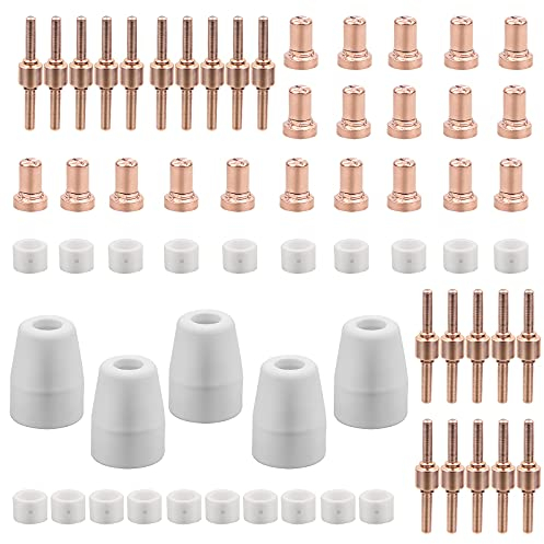 SWAWIS 65 Pièces PT31 Consommables Plasma Decoupeur Plasma Parkside Cut 30 40 50 Consommables de Découpeuse Plasma Accessoire Decoupeur Plasma Electrode Tip Buse