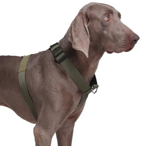 FEimaX Pettorina Cane Taglia Grande per Animali Domestici, No Pull Gilet Cani Regolabile Traspirante Imbracatura Tattica Resistente per Media Cani per l'Addestramento All'aperto