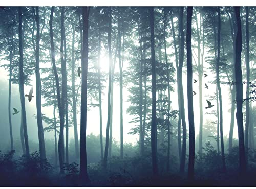 Runa Art Fototapeten 396 x 280 cm Wald Nebel Vögel - Vlies Wanddekoration Wohnzimmer Schlafzimmer - Deutsche Manufaktur - Blau 9326012a