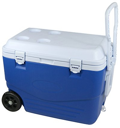 Glacière Rigide 46 litres, 60,5 x 35,5 x 41,5 cm, Bleu/Blanc