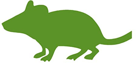 Swell Reptiles 10 Pack of 40g Frozen Mice Ex-Breeders. Outstanding Snake Food