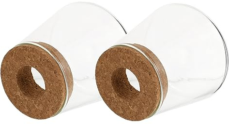iplusmile 2piezas Botella Ecológica De Vidrio Jarrones Hidropónicos para Plantas Macetero De Vidrio para Decoración del Hogar Duradero para Oficina o Jardín