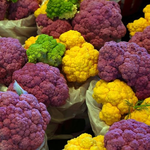 coliflor orgánica verdes orgánicas exóticas semillas de coliflor resistentes jardines de rocas semillas hortalizas orgánicas, variedades tradicionales interior, 100semillas