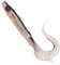 Spro Gummishad Iris Shocktail 30cm 59g, Farbe:Roach