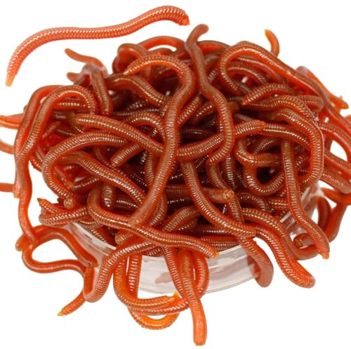 10cm Scented Soft Artificial Fishing Worms Night Crawler Lures with Box