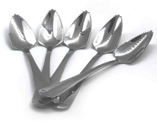 5 cucchiai seghettati in acciaio inox, per pompelmo, bordo seghettato e manico spesso, per kiwi, dessert, mele, agrumi