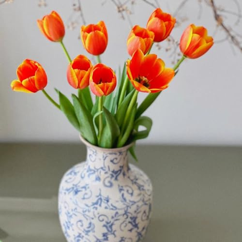 Bulbi di tulipani, resistenti per il giardino acquistare bulbi di tulipano, resistenti per contenitori bulbi a precoce, perenni 5pcs