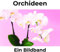 Orchideen: Ein Bildband