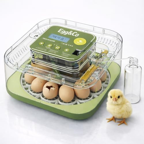 Egg&Co Start 12 – Incubadora automática 12 huevos gallina (36 codorniz). Control preciso de humedad, volteo automático, botella y ovoscopio incluidos. Ideal para principiantes y expertos.