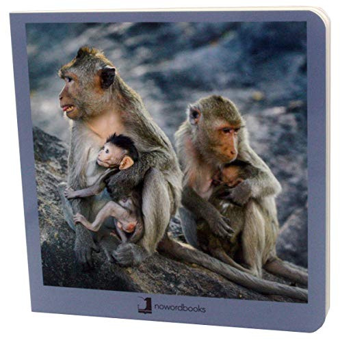 Animales en Familia 2 (Mis Primeras Imágenes)