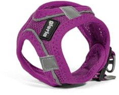 Gloria Trek Star Hundegeschirr 24-26 cm 28-28,6 cm Violett XXS