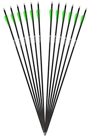 Drake Archery 12 Stück Komplettpfeile Fire Carbon-Hybrid Pfeile für Bogenschießen Bogen Jagdpfeile Erwachsene Carbonpfeile für Recurvebogen (28 Zoll)