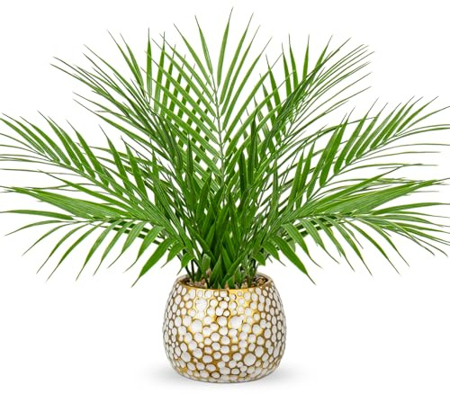 Hollyone 16'' Arificial Palm Plant in Ceramic Pot - Decorative Fake Plants, Faux Greenery for Home Decor, Table, Living Room, Kitchen, Office - Tropical Plastic Plants for Indoor Decorations