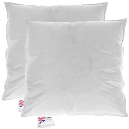 HOMESCAPES Cuscino imbottito in piumino e piume d'oca e cotone, cuscino da rivestire, 40 x 40 cm, confezione da 2