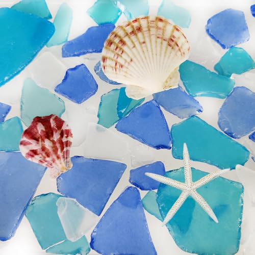 Tumbled Sea Glass 10oz Mix with 2 Seashells,White,Sea Blue,Dark Blue | Decorative Beach Glass Suitable for Vase Fillers, DIY Crafts, Coastal Decor, DIY Projects and Gift Filling
