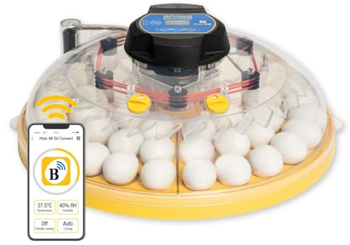 Brinsea Maxi 48 EX Connect - British Made, Top of the Range, Full-featured App Controlled 48 Hen Egg Incubator
