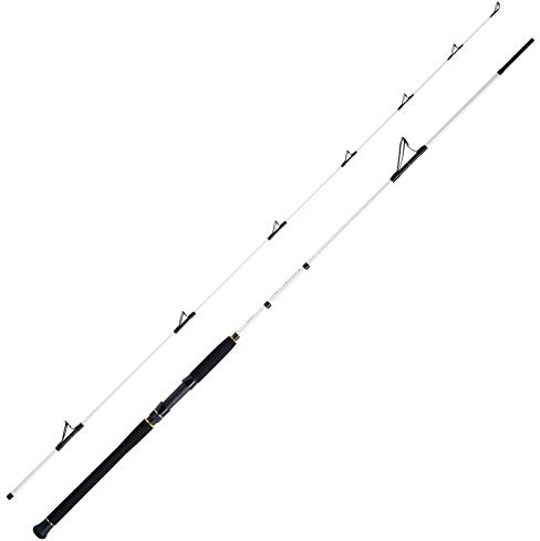 WFT Salzmeister Coastal Jigger 2,75m 40-160g