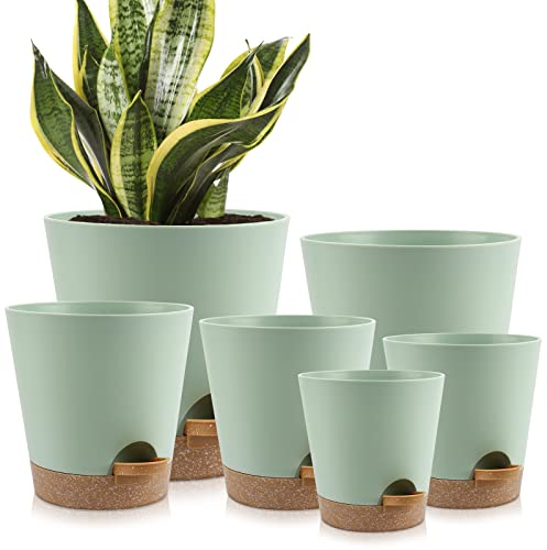 YNNICO Pots de Fleurs 22,3/17,1/16,5/14,9/12,7 cm avec Trous de Drainage et soucoupes, en Plastique, Pot de Plantation pour Plantes d'intérieur et d'extérieur