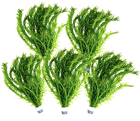 5 Bund Wasserpest, Teich Pflanze, Wasserpflanze, Elodea Densa, Aquarium Pflanze,mini Teich Marke Daxton-Plant