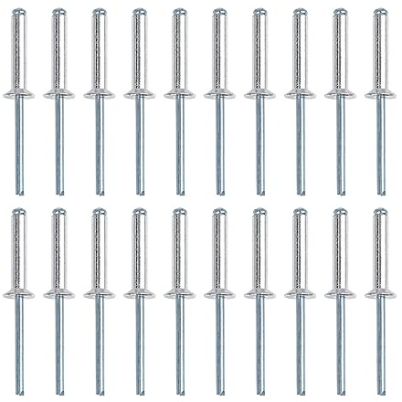 X AUTOHAUX 20pcs 5 x 25mm Aluminium Alliage Aveugle Rivets Réparation Outil pour Voiture