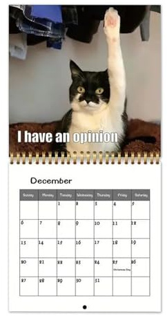 Calendario De Gatos 2026 Planificador Mensual De Pared