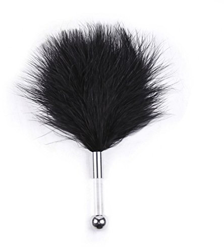 Boowhol Damen Herren Feder Peitsche Schwarz Griff Paddel Transparent Erotik Federkitzler Fesseln Bondage S&M Sexspielzeug streichelfreund Kleine Flogger