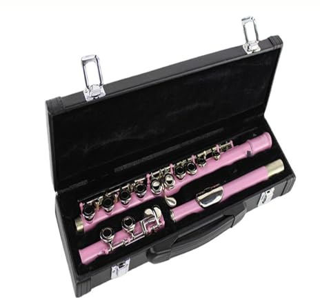 tvärflöjt instrument Musikinstrument flöjt 16 hål stängt hål C nyckelflöjt