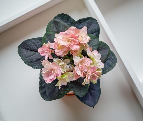 9 Artificial African Violet – Pink with Green Edge Realistic Faux Flower for Home & Office Decor, Indoor Flower Arrangement