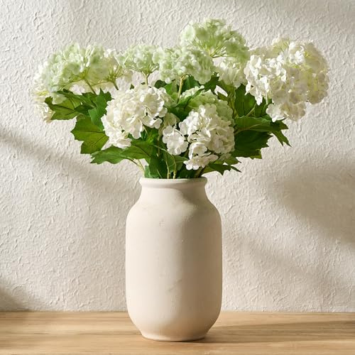 SIDUCAL Blomvas i rustik lantlig stil, 24,1 cm stor keramisk vas, för pampasgräs, modern och lantlig stil för heminredning, bord, vardagsrumsdekoration, hylldekor och mantel, vit