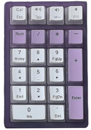 YIZITU Teclado numérico mecánico intercambiable en caliente con cable USB C de 21 teclas con teclado numérico retroiluminado LED para ordenador portátil