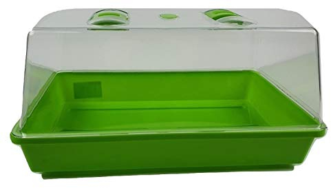 Mini Treibhaus Gewächshaus Anzucht Zimmergewächshaus Kunstoff grün 38x24x18 cm