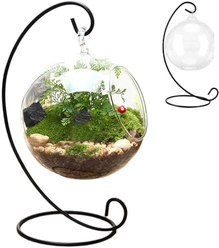 Air Plant Terrarium, With Black Iron Stand Clear Glass Terrariums for Plants, Hanging Funny DIY Air Plant Terrarium Kit, For Air Plants Succulent Small Plants Hanging Glass Vase Glass Terrariums for P