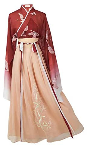 YY GEWETAO Hanfu Dress For Women, Hanfu Tang Made Costume Hanfu Dress Cosplay Costume Hanfu (L:(Recommended height:165-170cm))