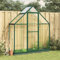 Faroom Aluminium Gewächshaus für den Garten 169 x 58 x 202 cm mit Fundamentrahmen, Gewächshaus Glas, Treibhaus, Tomatenhaus, Frühbeet, Pflanzenhaus Grün und transparent