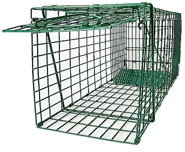 26 Folding Collapsible Humane Live Animal Cage Trap No-Kill Trapping Kit for Humane Catch Release Rabbits, Stray Cat, Squirrel, Raccoon, All Fit Sized Animals, Heavy Duty, 2-Door Hidden Green