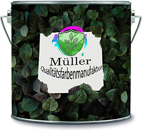 Müller Qualitätsfarbenmanufaktur Vernice per pavimenti in resina epossidica, per interni, per piastrelle, per cemento, per garage, cantina, soggiorno, resina epossidica (1,25, grigio finestra RAL