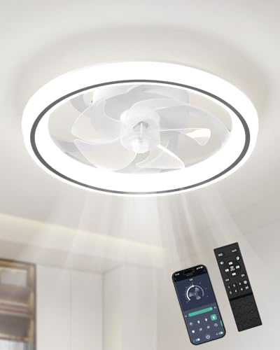 LumiZhen LED Ceiling Fan with Lights, APP Remote Control, Dimmable, Stepless Color Temperature Adjustment, 6 Wind Speeds, Suitable for Bedroom, Living Room, Dining Room [Energy Class E]